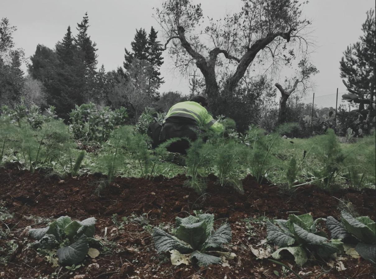 Salento Home Farm Bagnolo del Salento Экстерьер фото